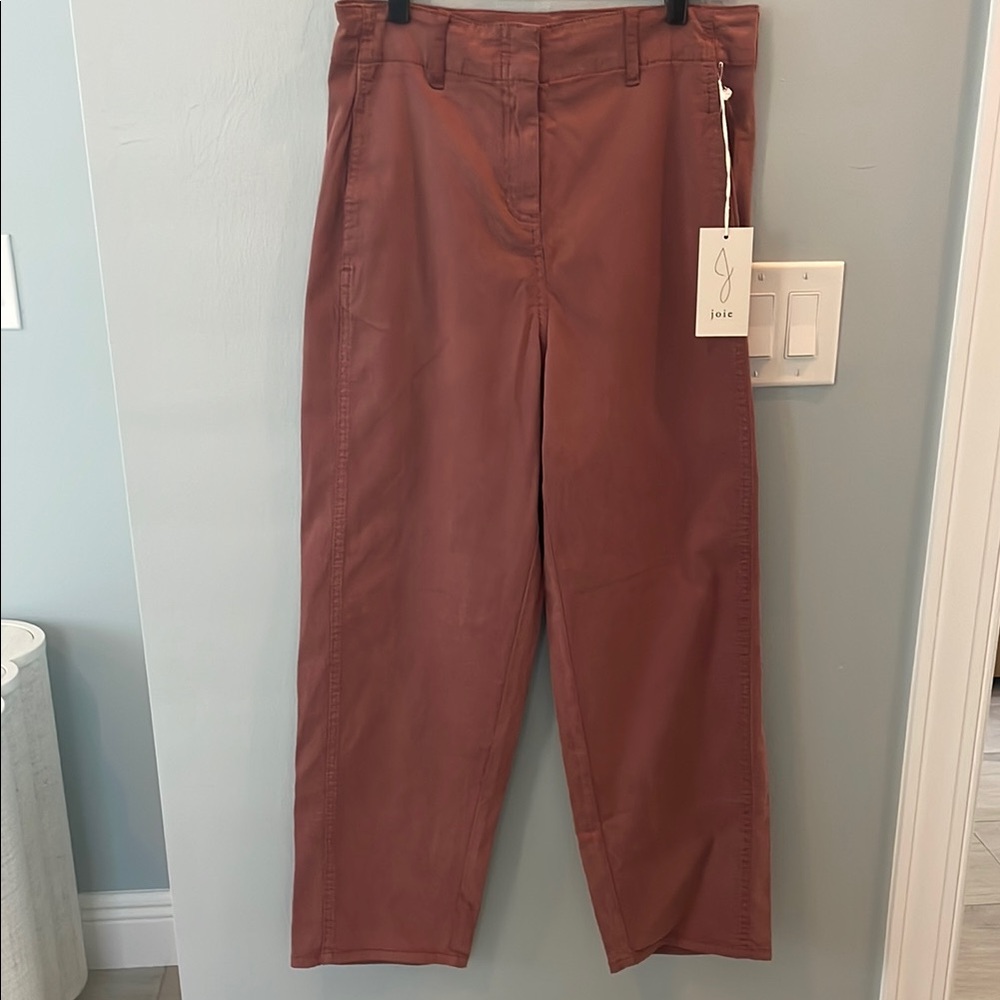 Joie Russet Brown Brick Red Soft Utility Pants Super Soft 10 NEW